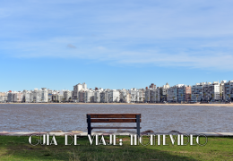 Pocitos - PH: Daniela Coccorullo